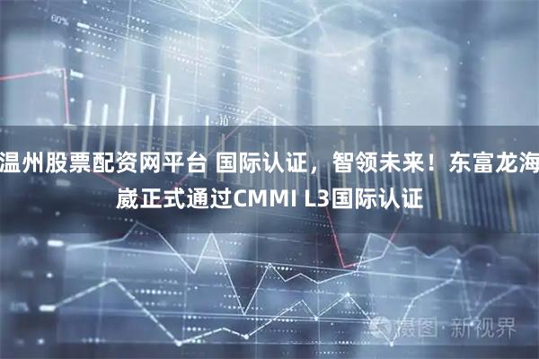 温州股票配资网平台 国际认证，智领未来！东富龙海崴正式通过CMMI L3国际认证