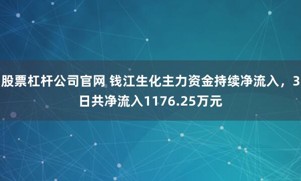 股票杠杆公司官网 钱江生化主力资金持续净流入，3日共净流入1176.25万元