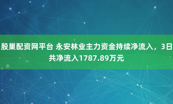 股巢配资网平台 永安林业主力资金持续净流入，3日共净流入1787.89万元