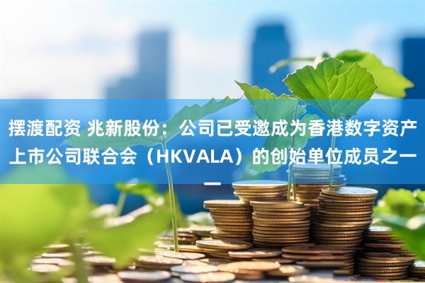 摆渡配资 兆新股份：公司已受邀成为香港数字资产上市公司联合会（HKVALA）的创始单位成员之一
