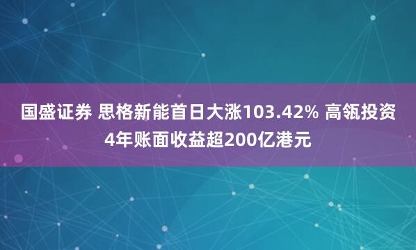 国盛证券 思格新能首日大涨103.42% 高瓴投资4年账面收益超200亿港元